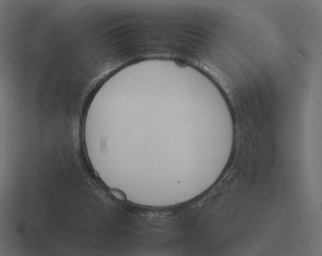 X0000116290345200912291416