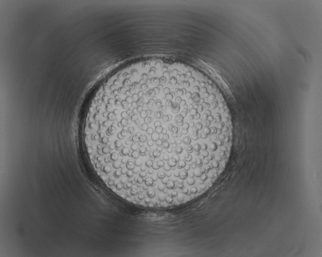 X0000116290346200912291416