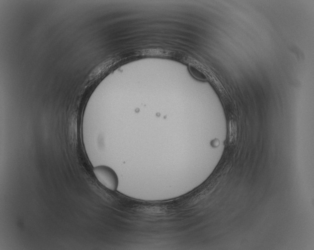 X0000116290349200912291416