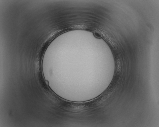 X0000116290351200912291417