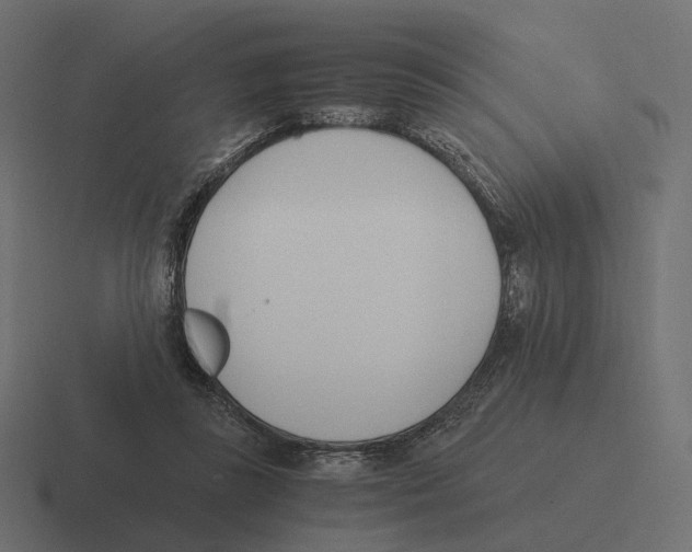 X0000116290355200912291417