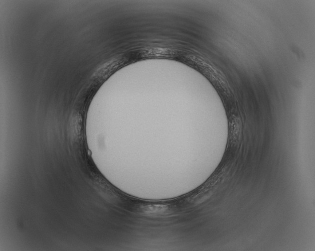 X0000116290361200912291417