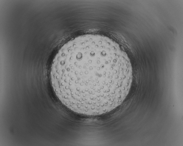 X0000116290366200912291417