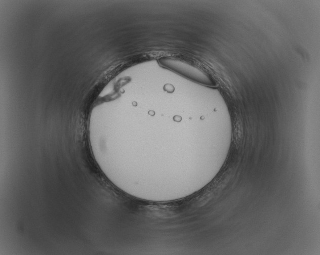 X0000116290367200912291417