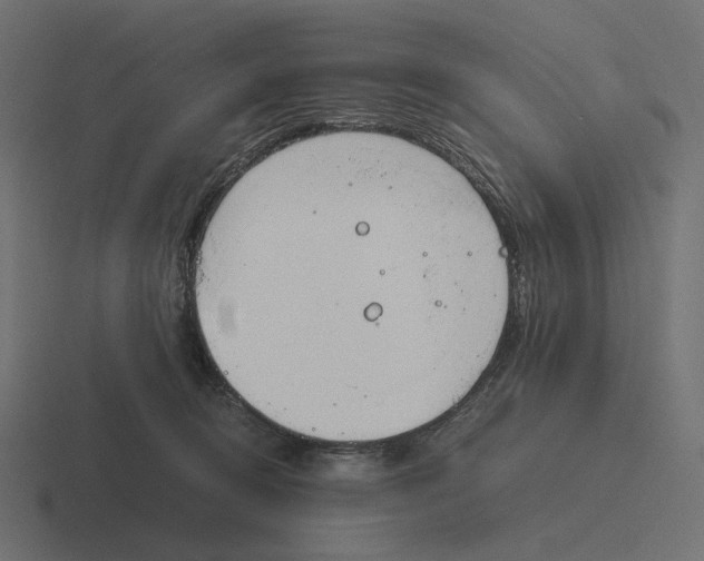 X0000116290370200912291417