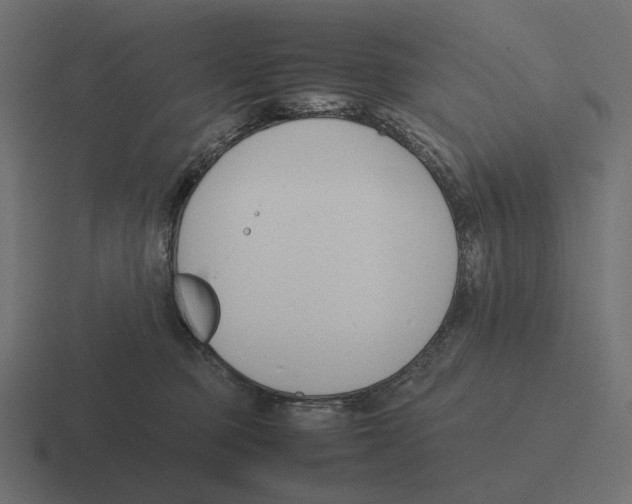 X0000116290373200912291417