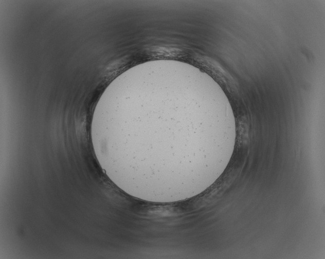 X0000116290377200912291417