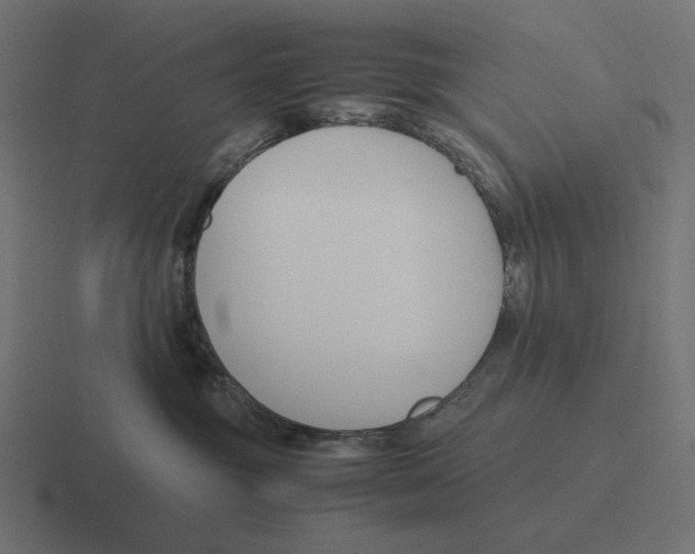 X0000116290381200912291417