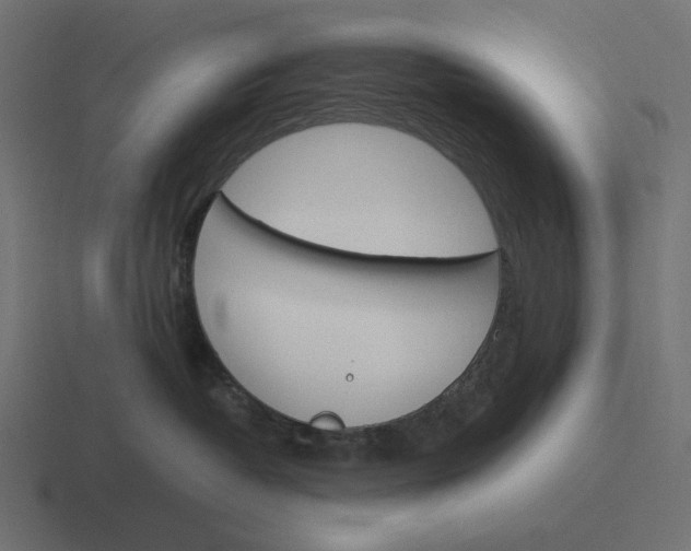 X0000116290382200912291417