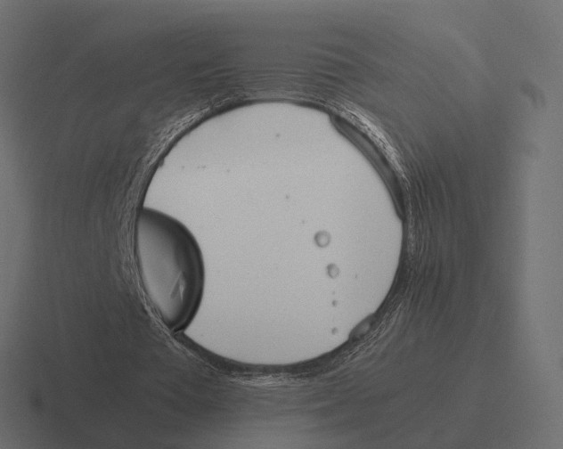 X0000116290385200912291416