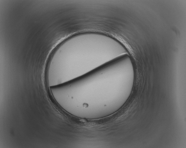 X0000116290391200912291416