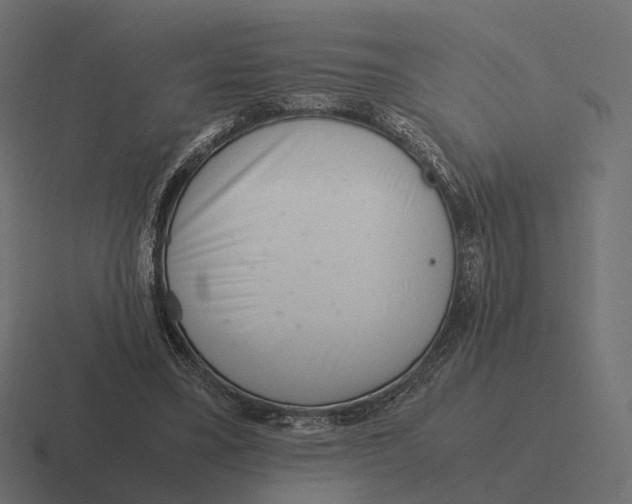 X0000116290395200912291416