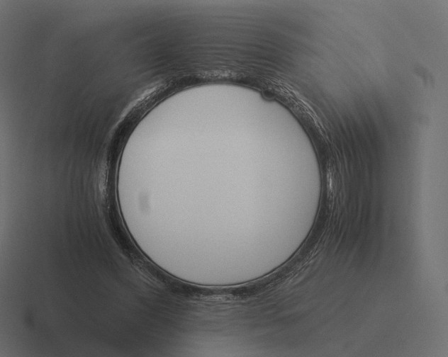 X0000116290396200912291416