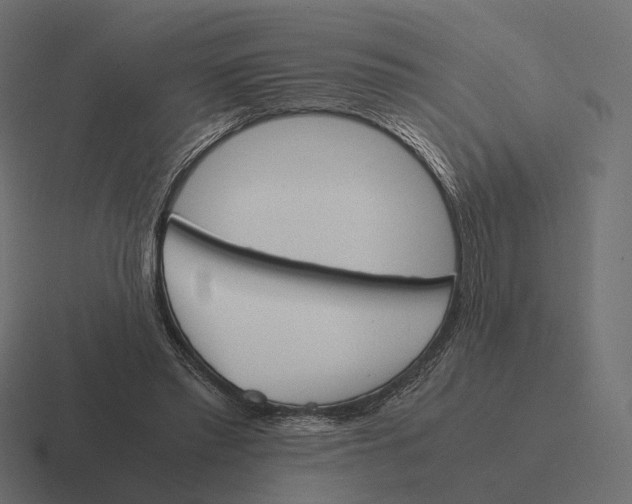 X0000116290397200912291416