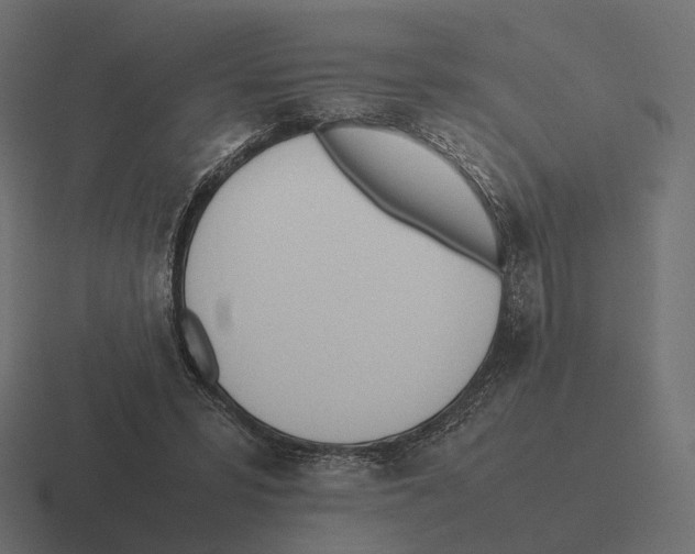 X0000116290399200912291416