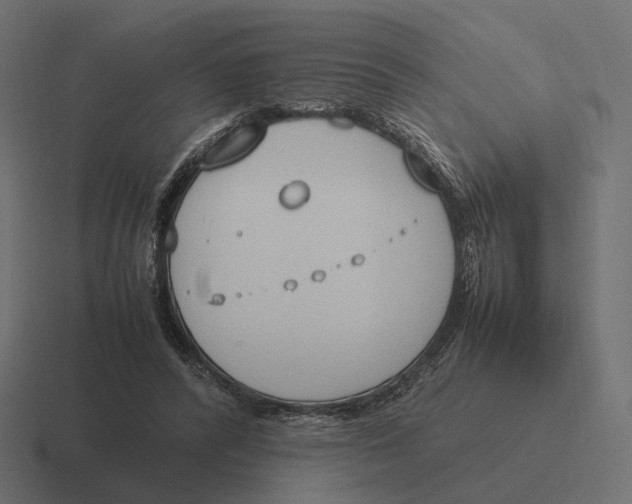 X0000116290400200912291416