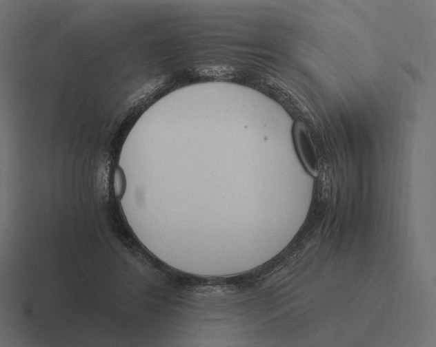 X0000116290404200912291416