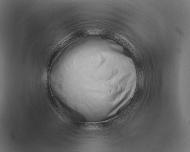 X0000116290405200912291416