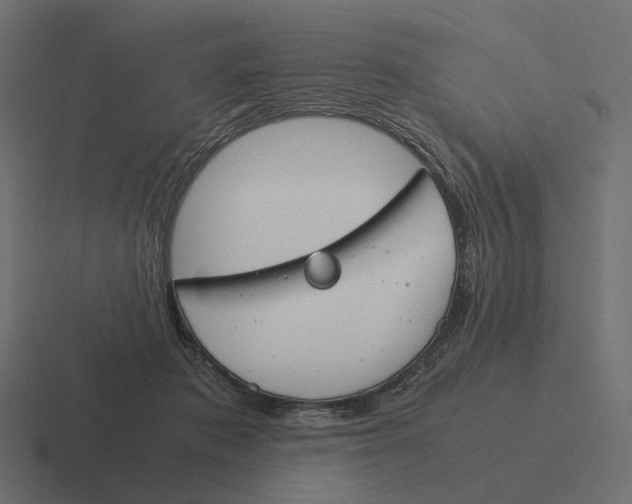 X0000116290413200912291416