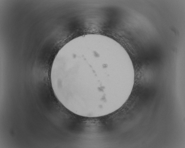 X0000116290415200912291416