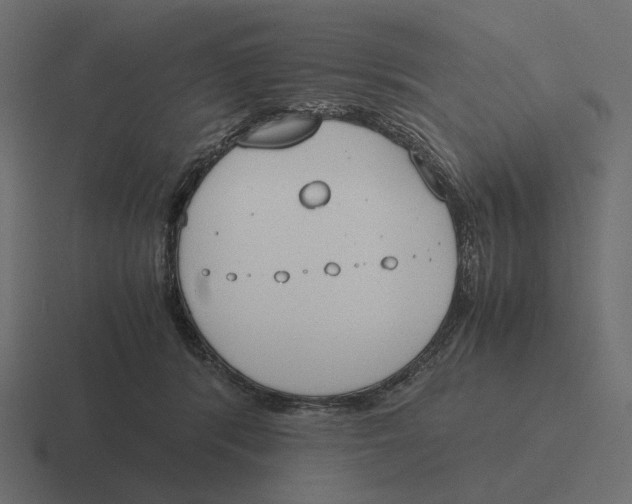 X0000116290416200912291416