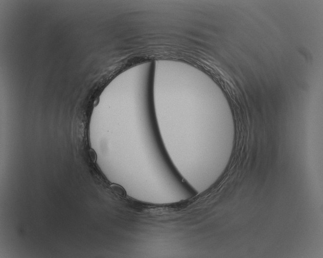 X0000116290417200912291416