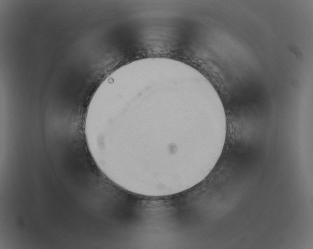 X0000116290419200912291416