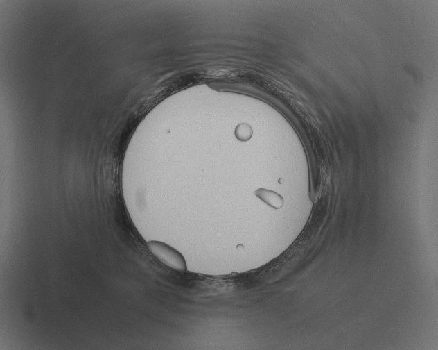 X0000116290421200912291416