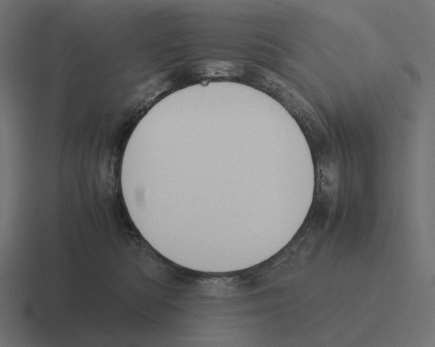 X0000116290422200912291416