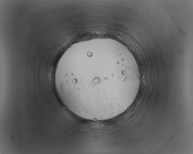 X0000116290424200912291416