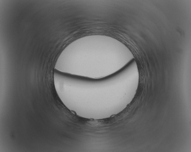 X0000116290425200912291416