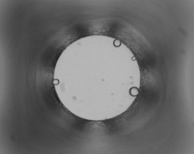 X0000116290427200912291416