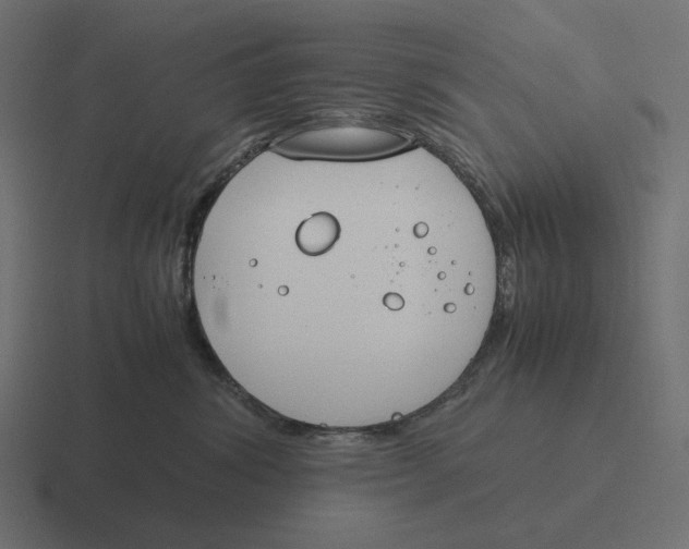 X0000116290428200912291416