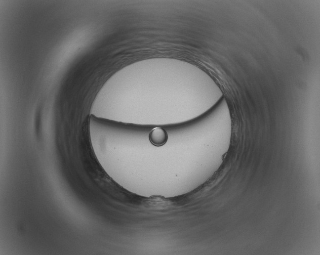 X0000116290429200912291416