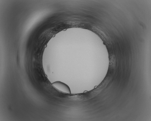 X0000116290430200912291416