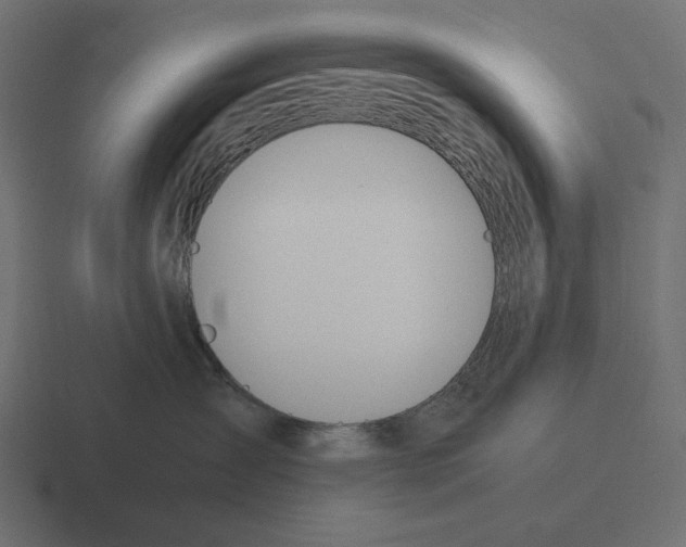 X0000116290431200912291416