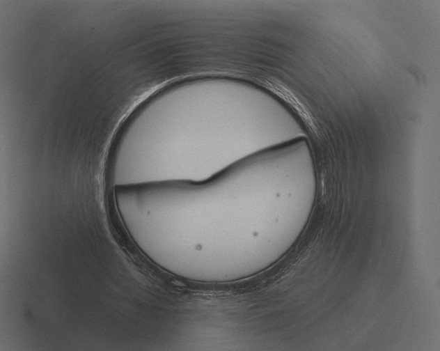 X0000116290436200912291415