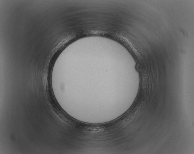 X0000116290443200912291415