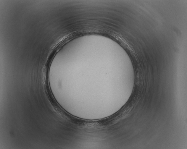 X0000116290446200912291415