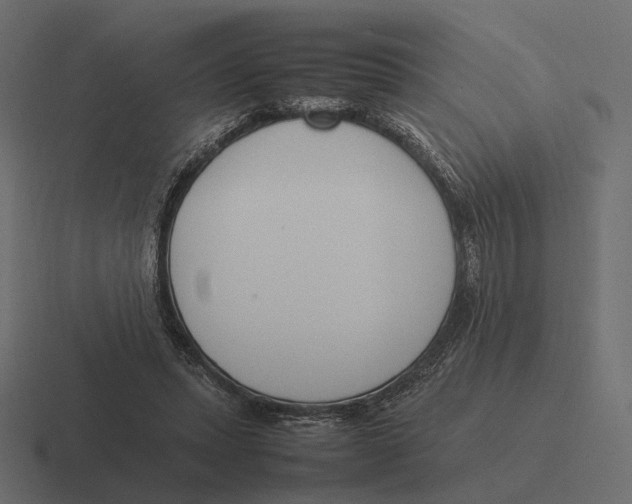 X0000116290447200912291415