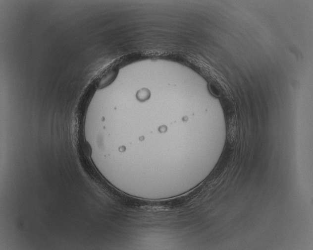 X0000116290448200912291415