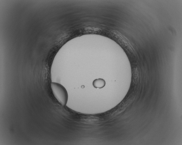 X0000116290463200912291416