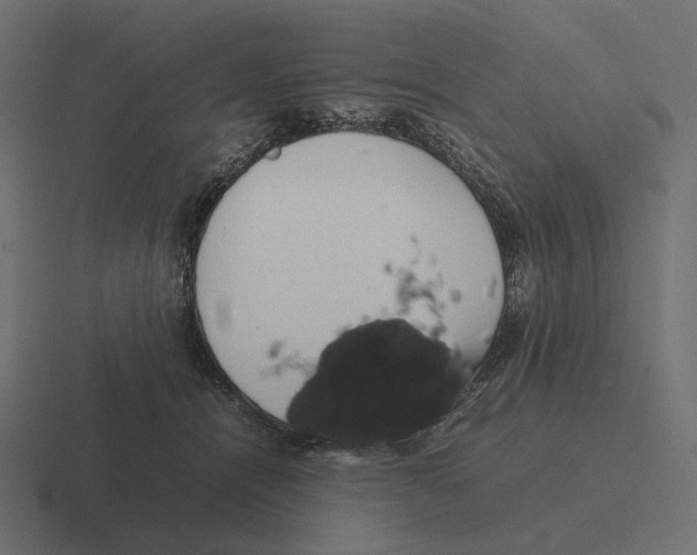 X0000116290464200912291416