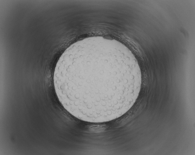 X0000116290465200912291416