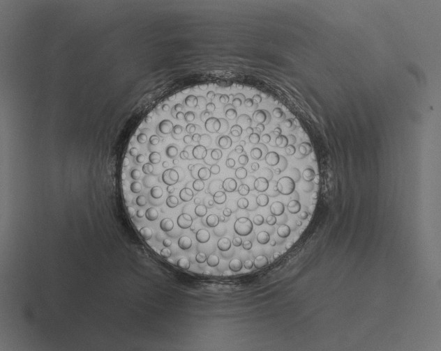 X0000116290466200912291416