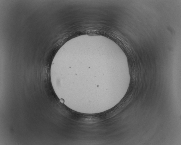 X0000116290467200912291416