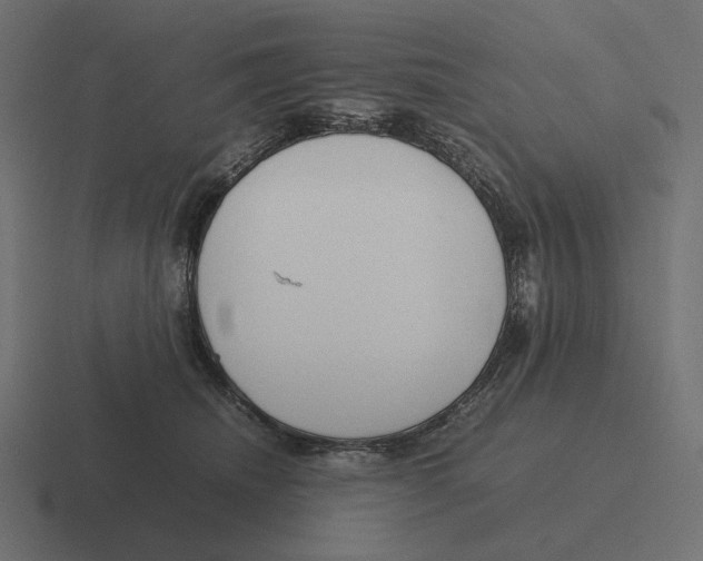 X0000116290468200912291416