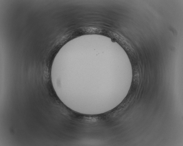 X0000116290469200912291416