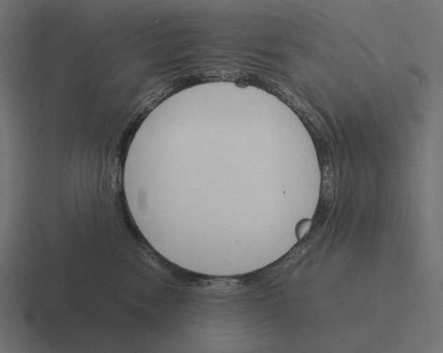 X0000116290474200912291416