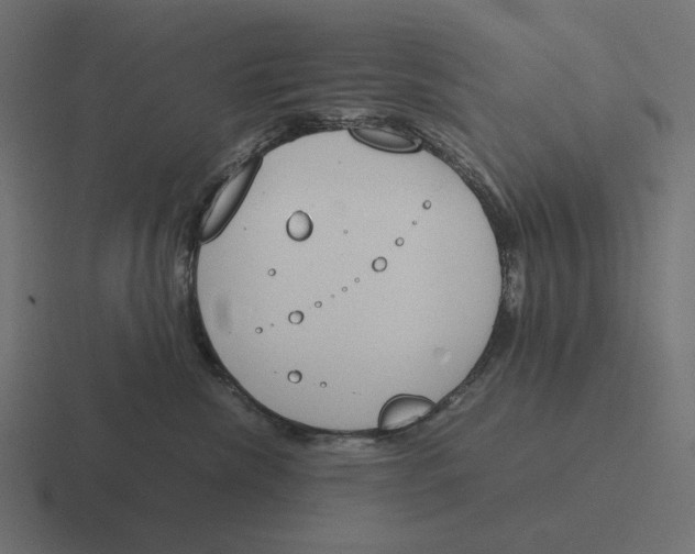 X0000116290476200912291416